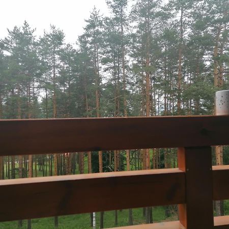 Apartman Nele Zlatibor Bagian luar foto