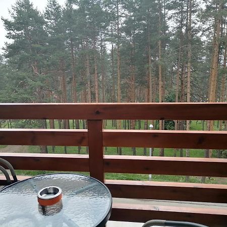 Apartman Nele Zlatibor Bagian luar foto