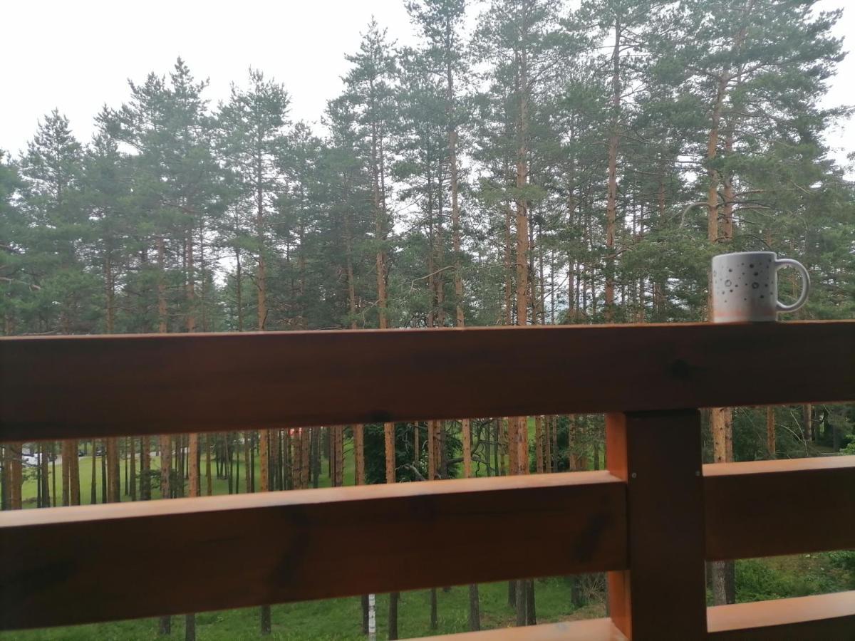 Apartman Nele Zlatibor Bagian luar foto