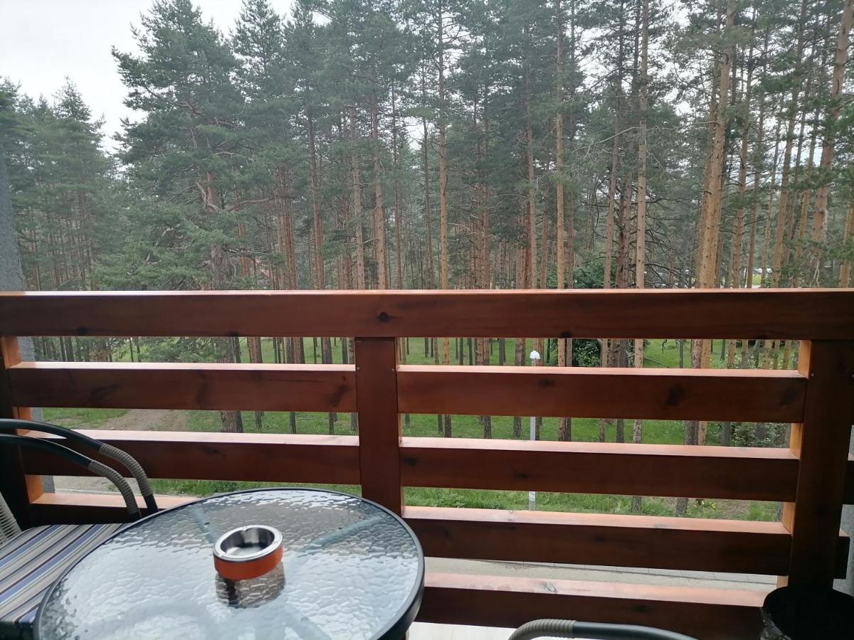 Apartman Nele Zlatibor Bagian luar foto