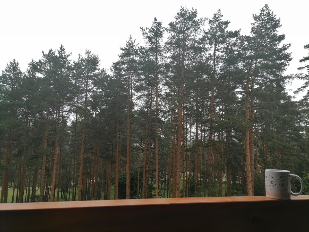Apartman Nele Zlatibor Bagian luar foto